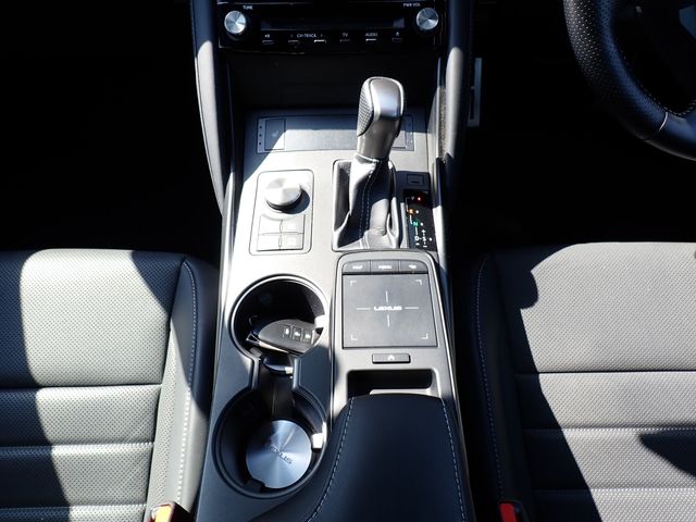 LEXUS IS300h
