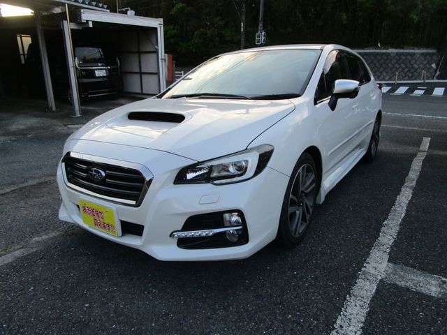 LEVORG