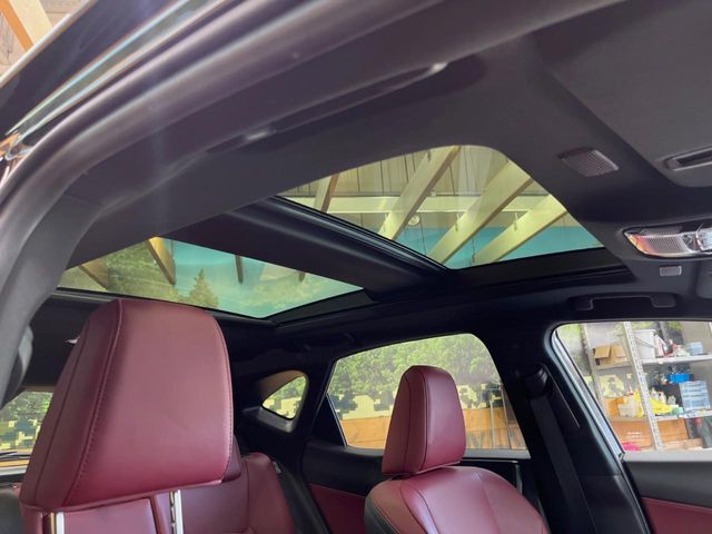 LEXUS NX350h AWD