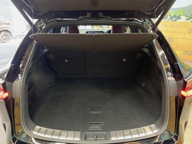 LEXUS NX350h AWD