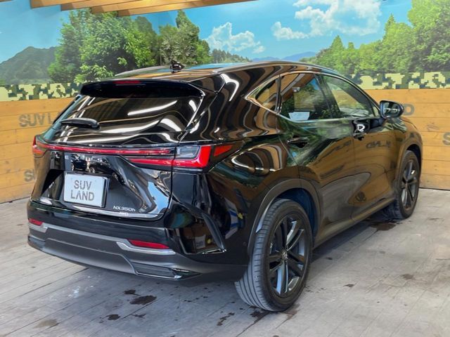 LEXUS NX350h AWD