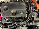 CROWN SPORT