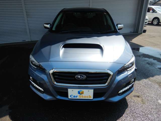 LEVORG