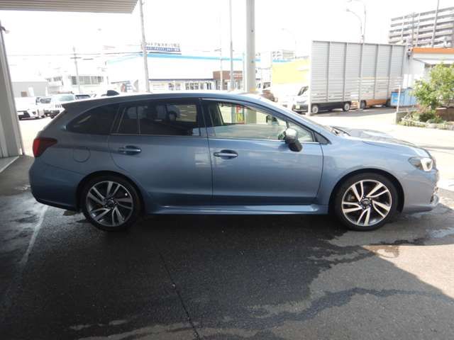 LEVORG
