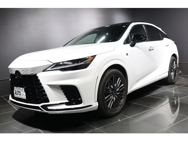 LEXUS RX500h