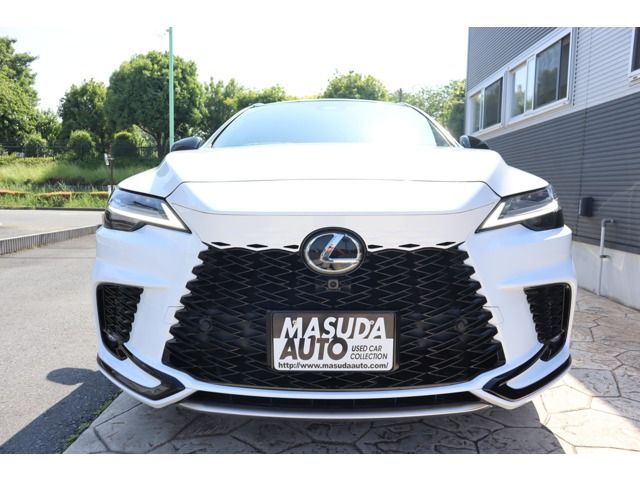 LEXUS RX500h