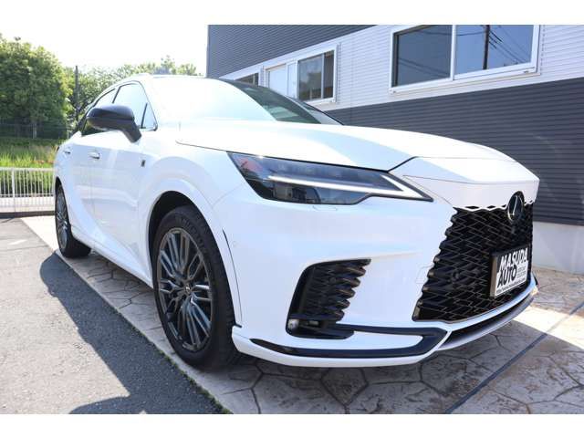 LEXUS RX500h