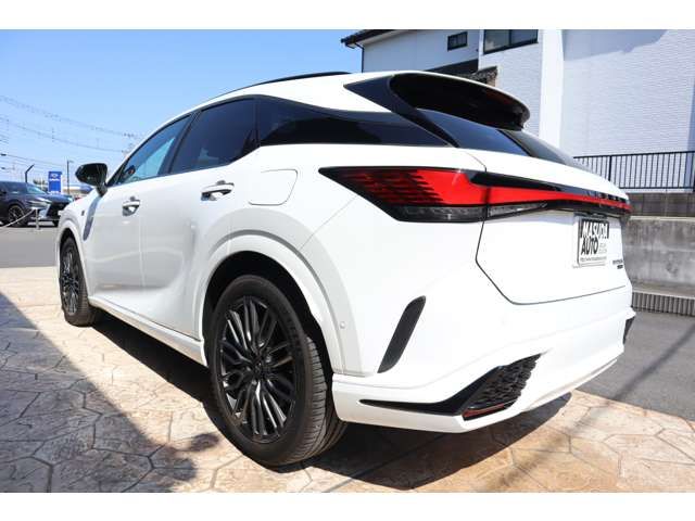 LEXUS RX500h