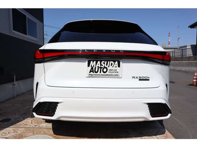 LEXUS RX500h