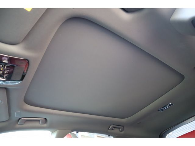 LEXUS RX500h