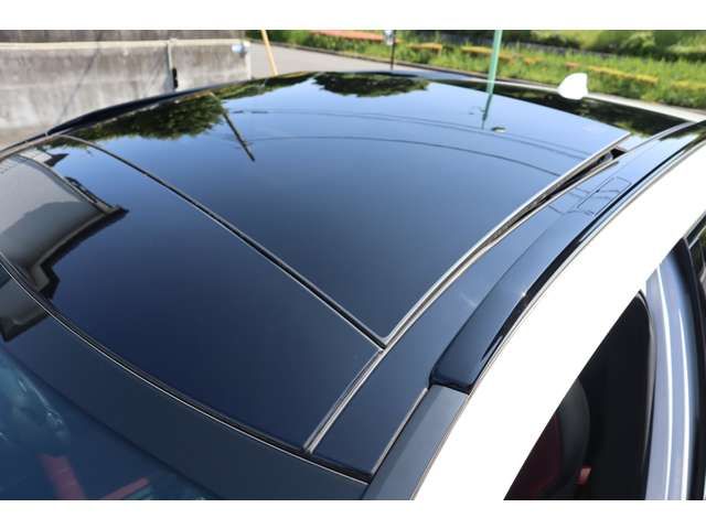 LEXUS RX500h