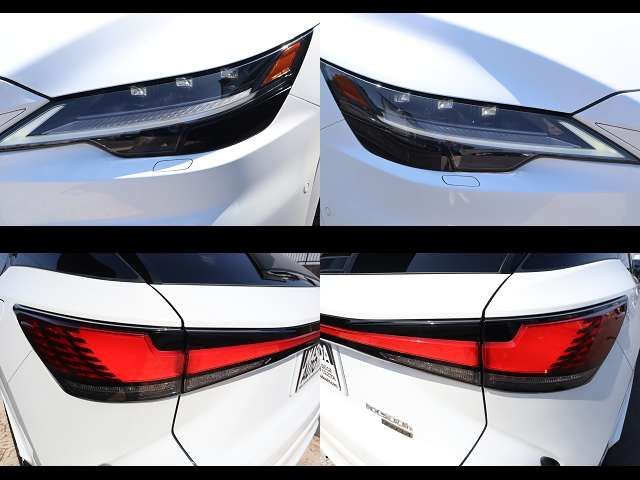 LEXUS RX500h