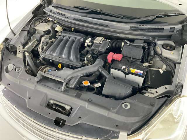 BLUEBIRD SYLPHY