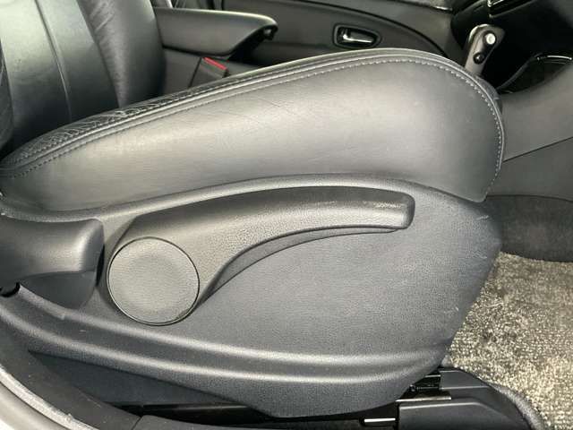 BLUEBIRD SYLPHY