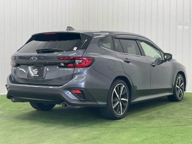 LEVORG