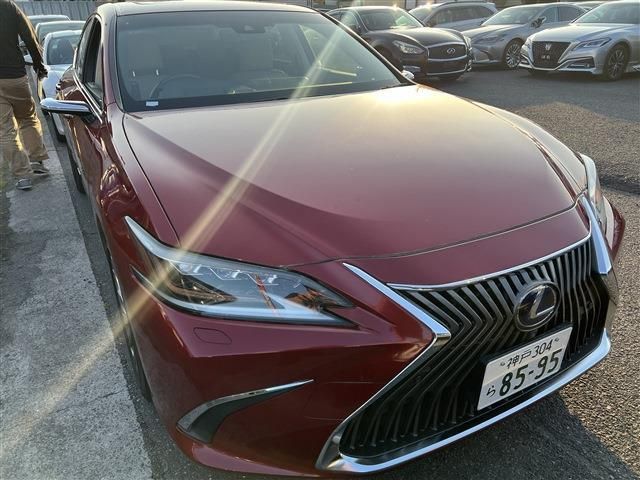 LEXUS ES300h