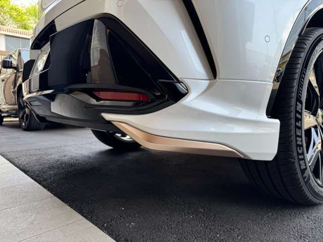 CROWN SPORT