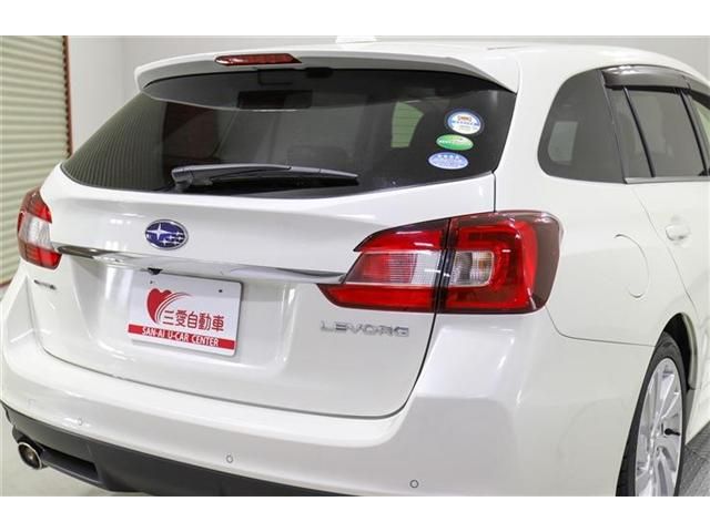 LEVORG