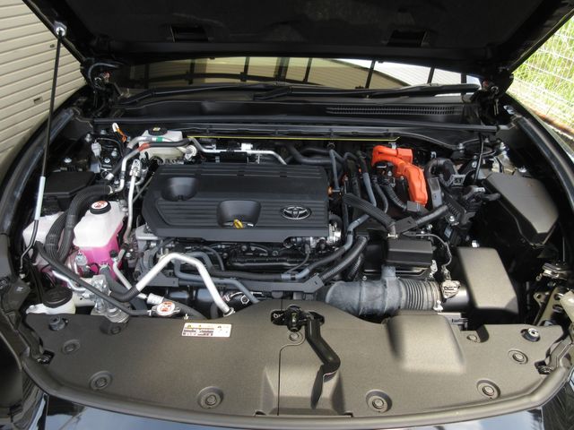 CROWN SPORT