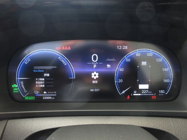 CROWN SPORT