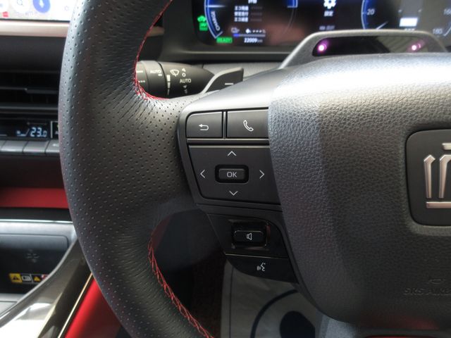CROWN SPORT