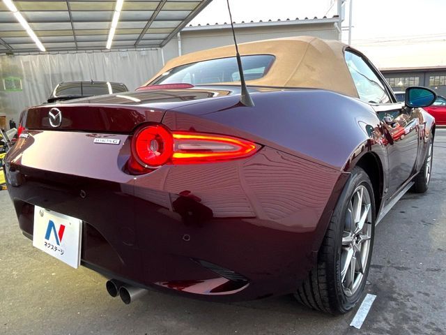 ROADSTER