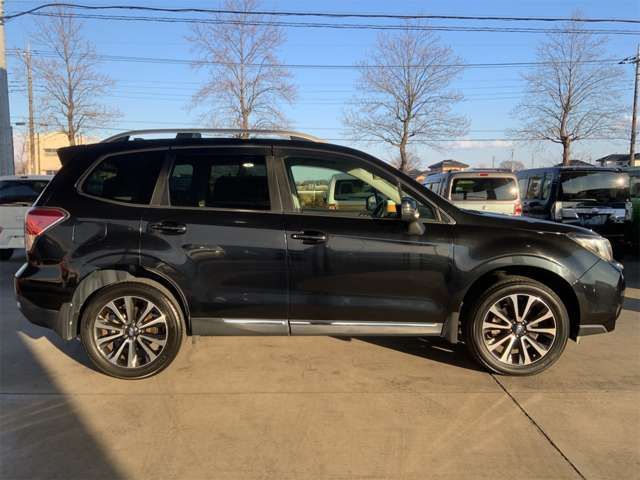 FORESTER