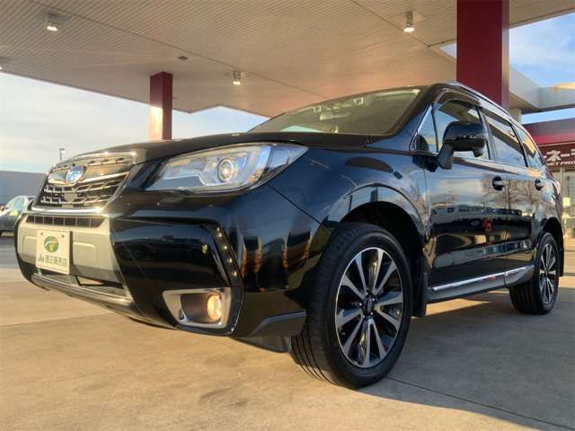 FORESTER