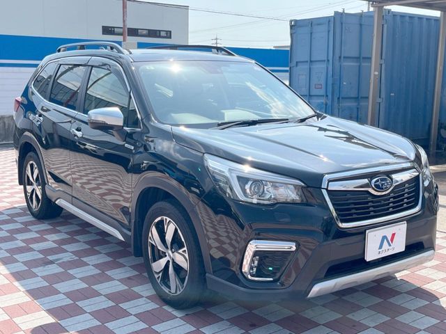 FORESTER