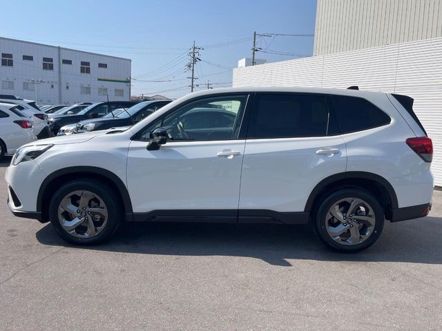 FORESTER