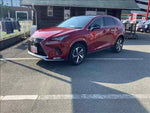 LEXUS NX300