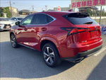 LEXUS NX300