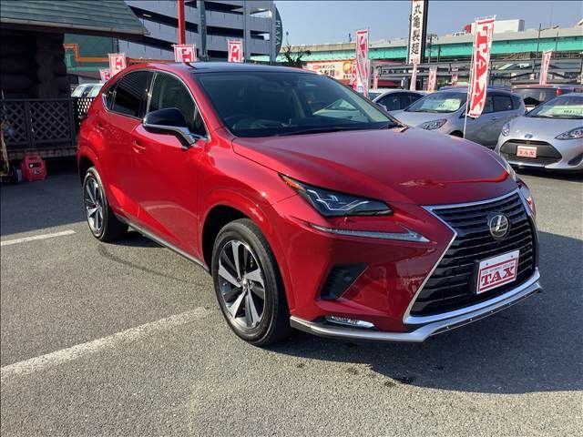 LEXUS NX300