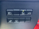 LEXUS NX300
