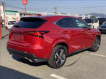 LEXUS NX300