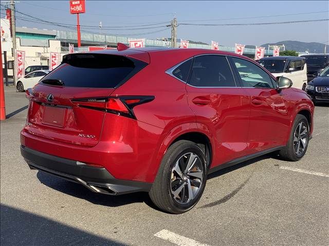 LEXUS NX300