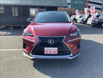 LEXUS NX300