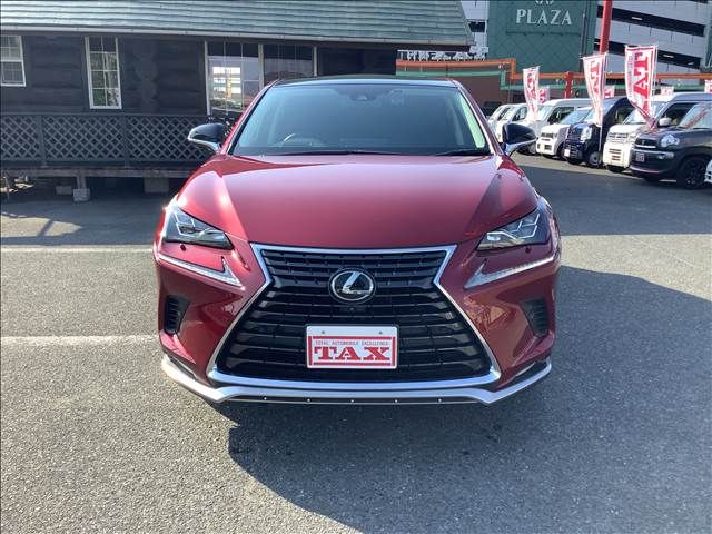 LEXUS NX300