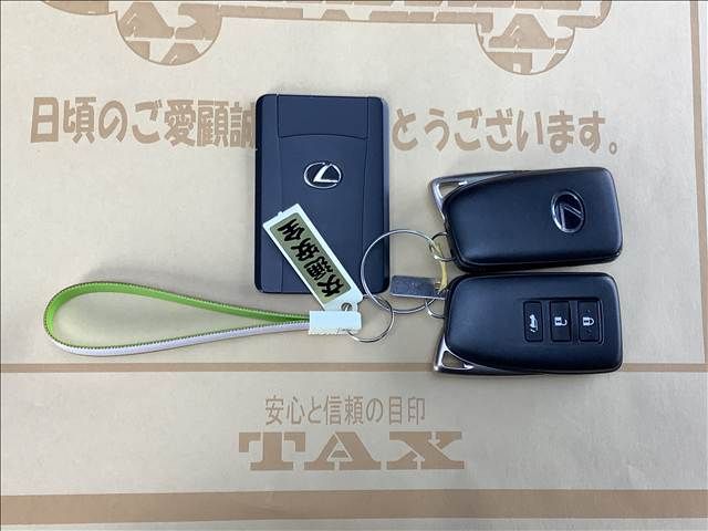 LEXUS NX300