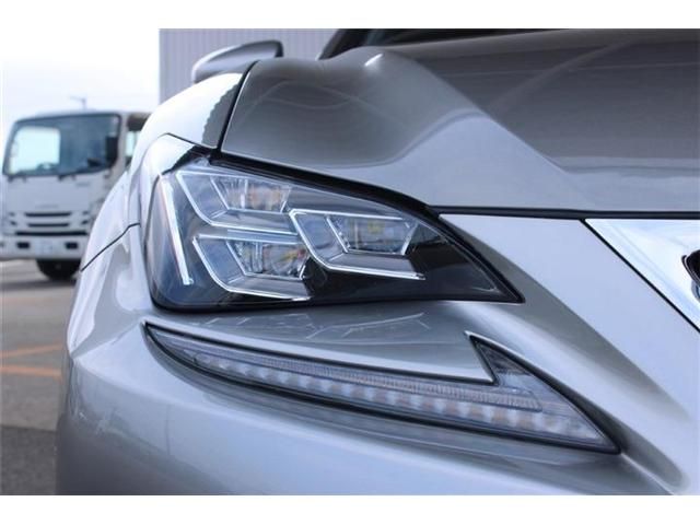 LEXUS RC300h
