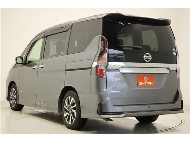 SERENA  S-HYBRID