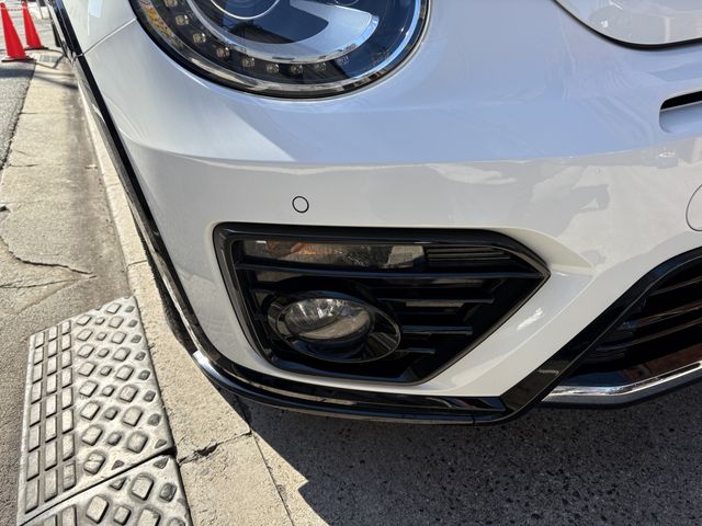 VOLKSWAGEN The BEETLE