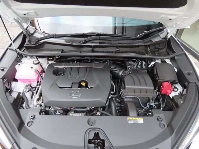 LEXUS LBX