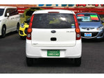 PLEO van