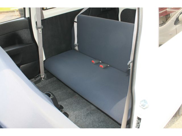 PLEO van
