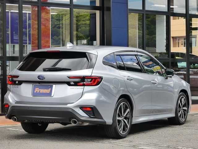 LEVORG