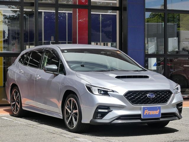 LEVORG