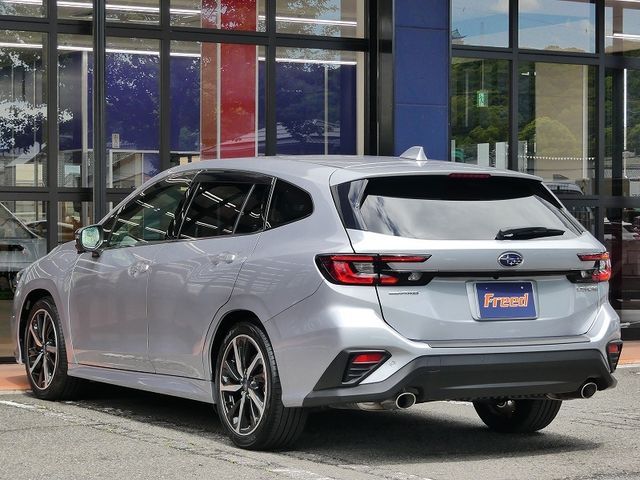 LEVORG