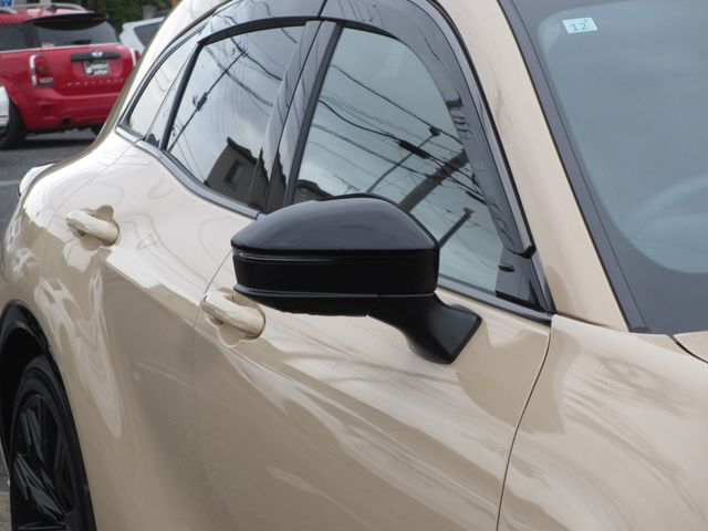 CROWN SPORT