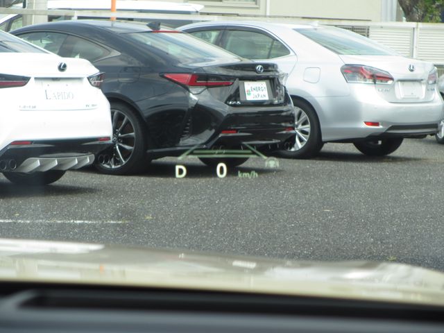 CROWN SPORT